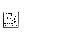 Snake2DS